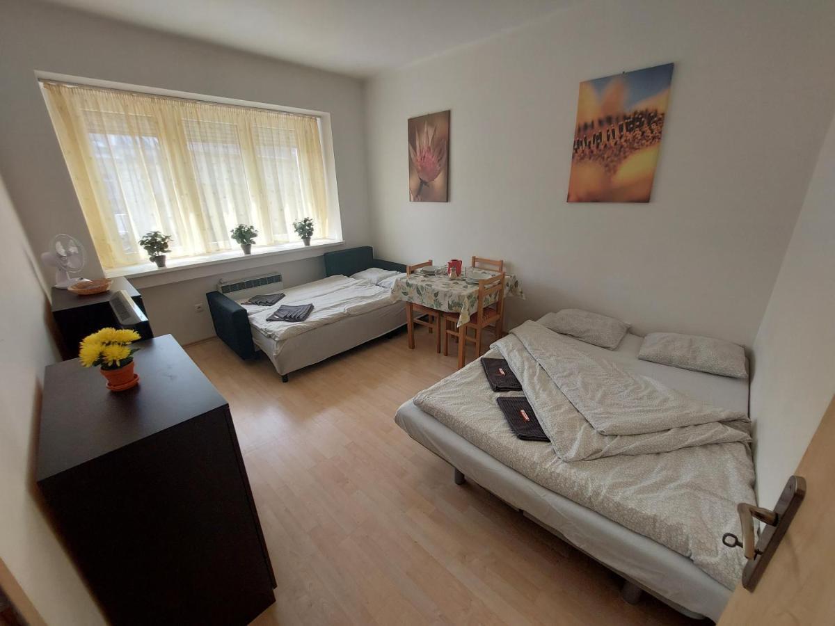 Апартаменти Apartman V Centre Bratislavy Братислава Екстер'єр фото